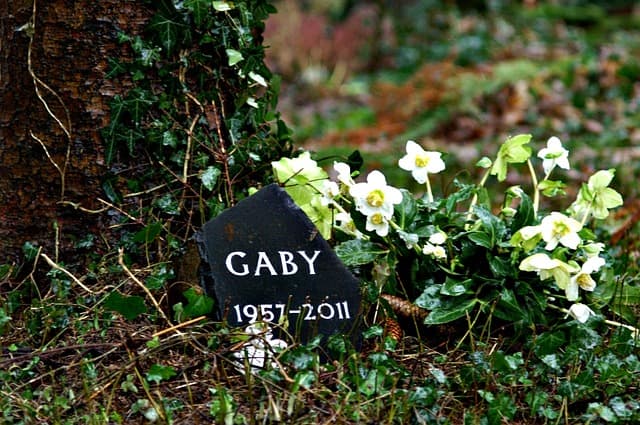 natural burial green grave site