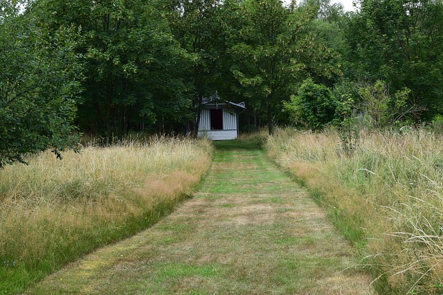 A mowed path leading to a shed, bordered by grassy unmowed areas and a treeline. mowing, habitat, wildlife, rotational mowing, lawn, overwintering