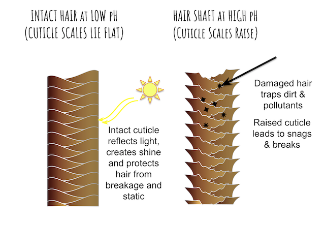 Hair shaft at low and high pH. Image by One Earth Body Care